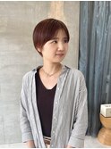 カッパーブラウンとマッシュショート