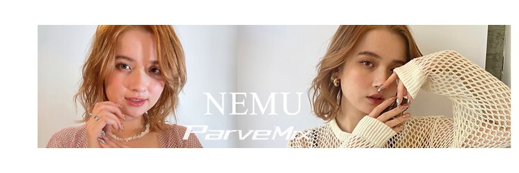 パーヴミックスネム(ParveMix NEMU)のサロンヘッダー