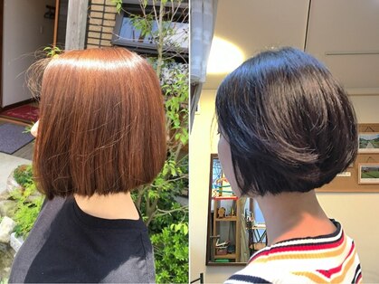 カミカロン(髪Kalon)の写真