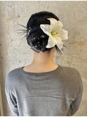 タイトアレンジ