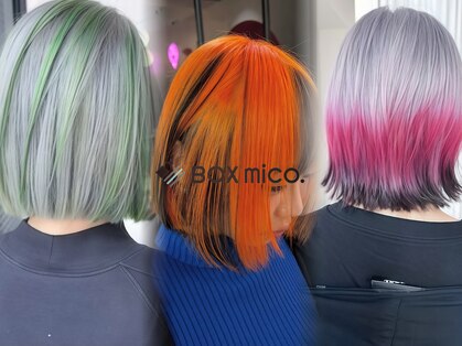 ボックスミコ(Box mico.)の写真