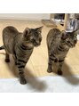 デュールイースト(Duul East)&nbsp;おうちで飼っている2匹のにゃんこがかわいいんです♪