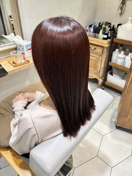 カルテット(Quartett) レッドブラウン