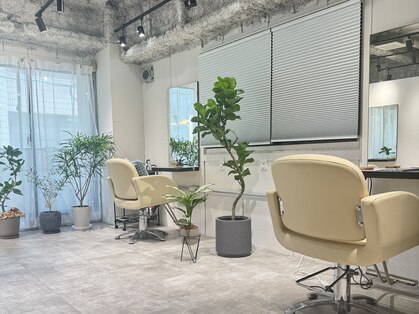 レヴリー(reverie)の写真