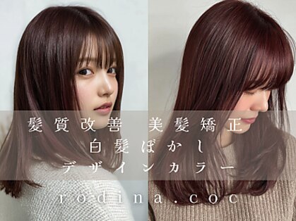 ロディーナコク 大口 新子安(rodina.coc)の写真