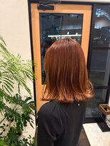 バーベナ(VERBENA) アプリコットオレンジカラー