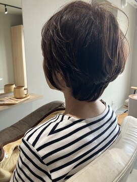 本と南風 guest design