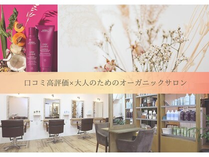 ルーチェ(Luce)の写真