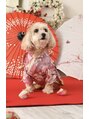 ディレクト 新宿(Direct) 愛犬☆12歳マルプー♪【新宿/髪質改善/縮毛矯正/美髪矯正/新宿駅