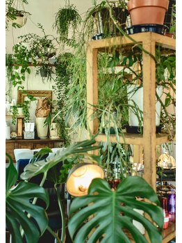 ヘアサロン テラス(Hair salon TERRACE.)の写真/店内に癒しの植物がいっぱい。マンツーマンでの丁寧な接客で、理想の自分を見つけるヘアサロンへようこそ★
