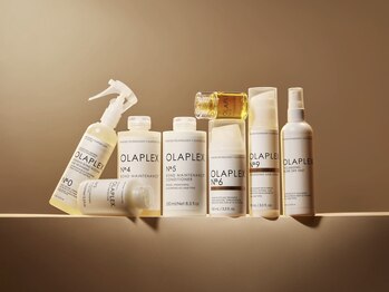 Bhavart【バヴァート】