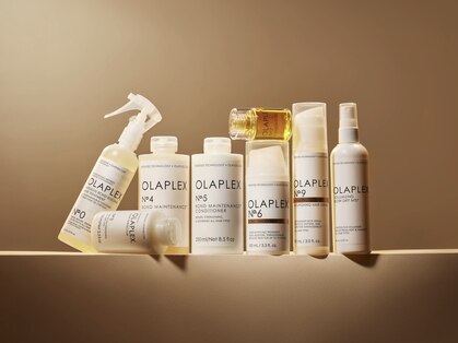 バヴァート(Bhavart)の写真