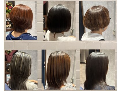 ハロ セラン(Halo serein)の写真