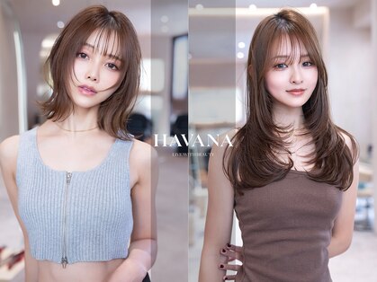 ハバナ 渋谷(HAVANA)の写真