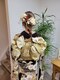ビーユー(BeYou)の写真/特別な日は、特別な自分で♪プロのベテランスタイリストが、あなたの魅力を最大限に引き出してくれます！