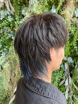 ノーブルヘアー(NOBLE HAIR) ウルフ×ブルー