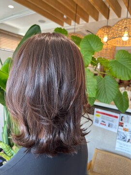 コスタエストオブリシェール(COSTA EST of RICHAIR) レイヤーミディ×ミルクチョコレート