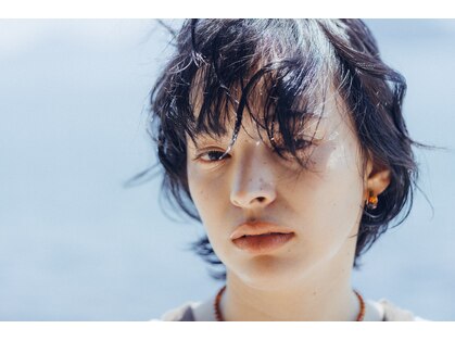 クイ(quii)の写真