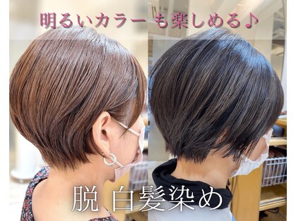 アルティインターナショナル(ALTI INTERNATIONAL)の写真