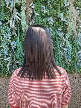 ノーブルヘアー(NOBLE HAIR) ブラウン