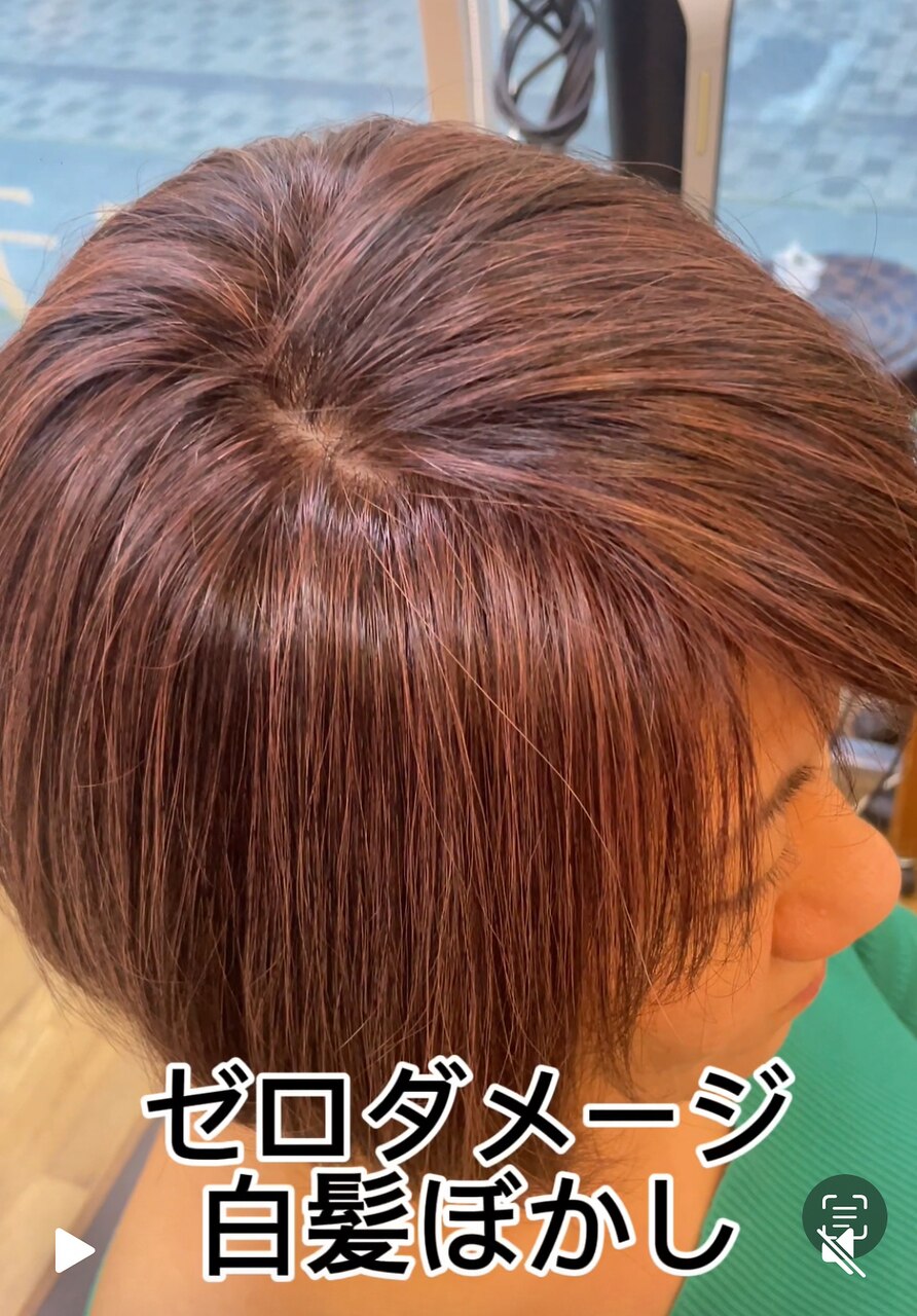 【最終価格】セット販売！ザクロペインター　白髪染め 楽天市場】サニープレイス 輝髪 ザクロペインターA 1000g クリア