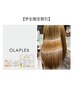 【u24学割】カット＋marbb+「OLAPLEX」酸熱トリートメント　¥14000