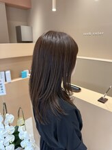 シークカラー(seek color)&nbsp;バイオプログラミングカラー