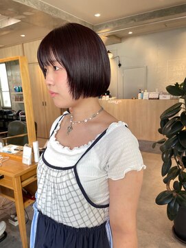 ゼストプラス(ZEST plus) 大人ミニボブレイヤー