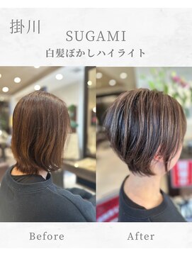 スガミ(SUGAMI) 白髪ぼかしハイライト