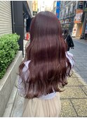ピンクラベンダー　20代/30代