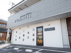 FELINESS 【フェリネス】