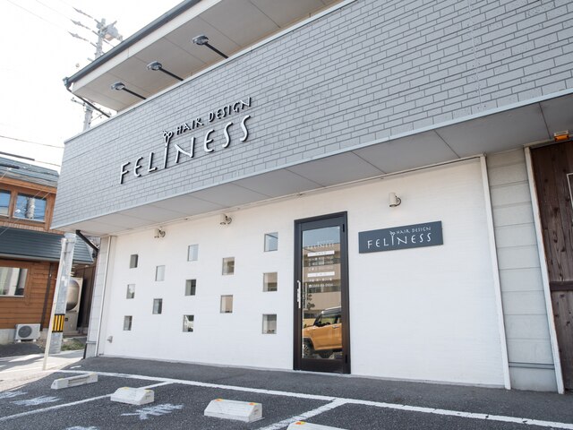 フェリネス(FELINESS)