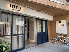 LITTLE hair color spa