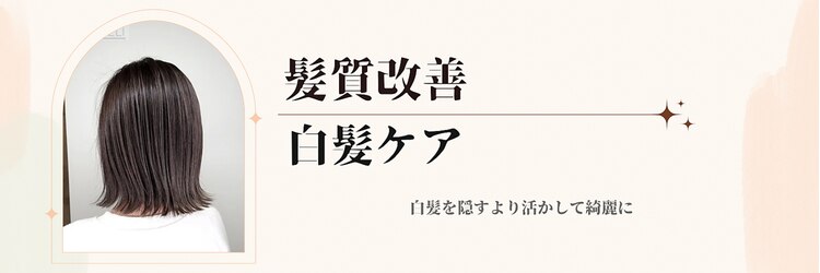 サネリ(Saneli)のサロンヘッダー