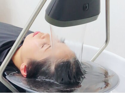 アリー(ALII)の写真