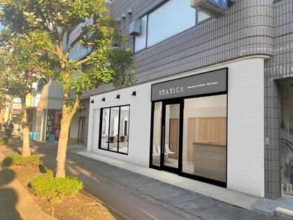 スターチス 行徳(statice)の写真