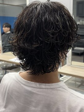 ゼストプール(ZEST POOL) サーフカール