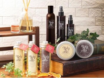 schiffon hair lounge