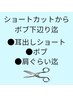 カット×イルミナカラー（おしゃれ・白髪）×手触り実感、潤いトリートメント