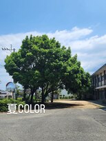 シャルシェ(Chercher) ミルクティベージュの極み