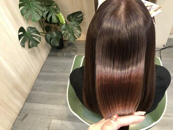 cotto 【コット】