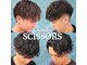 クラシック シザーズ(Classic SCISSORS)の写真