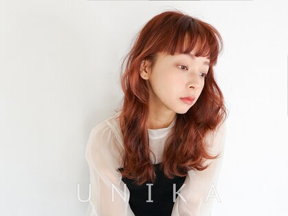 ユニカ(UNIKA)の写真