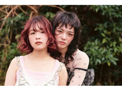 ディクト(D.C.T.)の写真