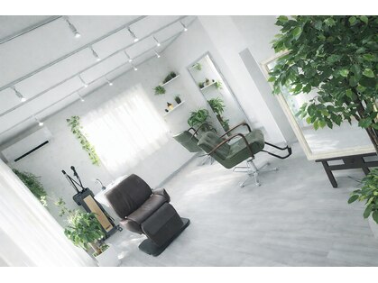 パレシア(PALECIA)の写真