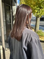 プロスタンセラ&nbsp;秋のブラウンほんのりレッドカラー