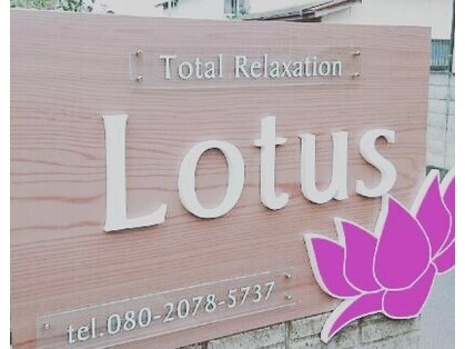 ロータス(Lotus)の写真