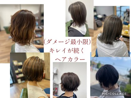 クール(coeur)の写真