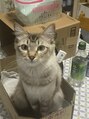 リボーン ビューティー リゾート 松戸店(re-born Beauty Resort) 猫大好きです★