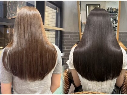 レッドネオ エビス(Redneo ebisu)の写真